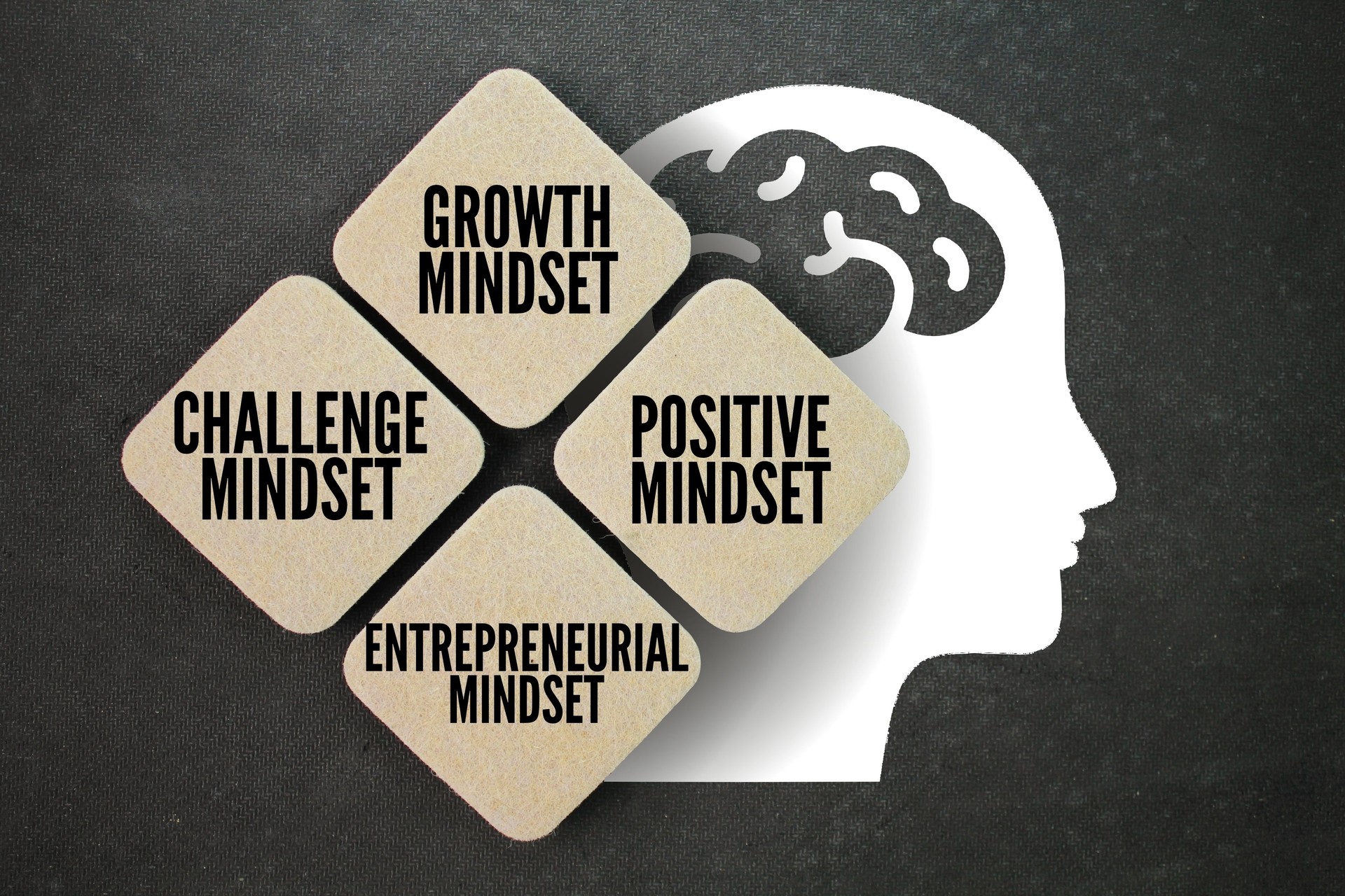What are the 4 mindsets?growth mindset, positive mind, entrepreneurial mindset, and challenge mindset. thought exercises and activities to develop a particular mindset. Four well-known mindsets